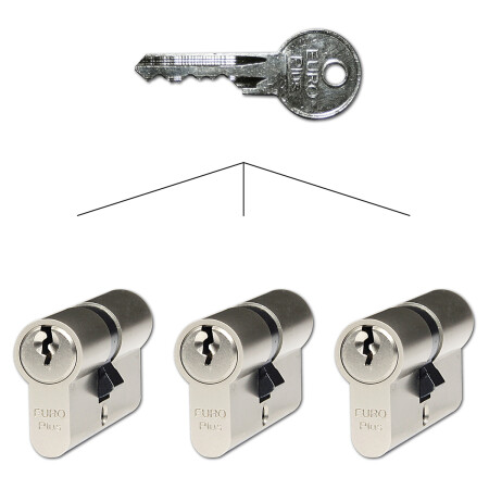 Set od 3 Richter EURO Plus cilindrična uloška SET3