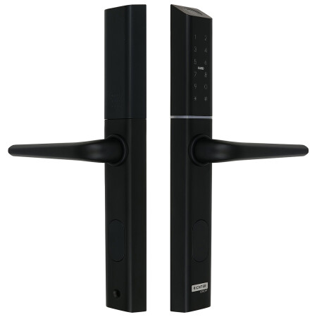 Richter digitalna kvaka za vrata DH.S3B-C.CE (crna)